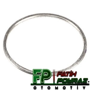 EKSOZ BOĞAZ CONTASI - LR025110