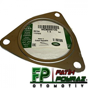 EKSOZ BOĞAZ CONTASI - WCM500120